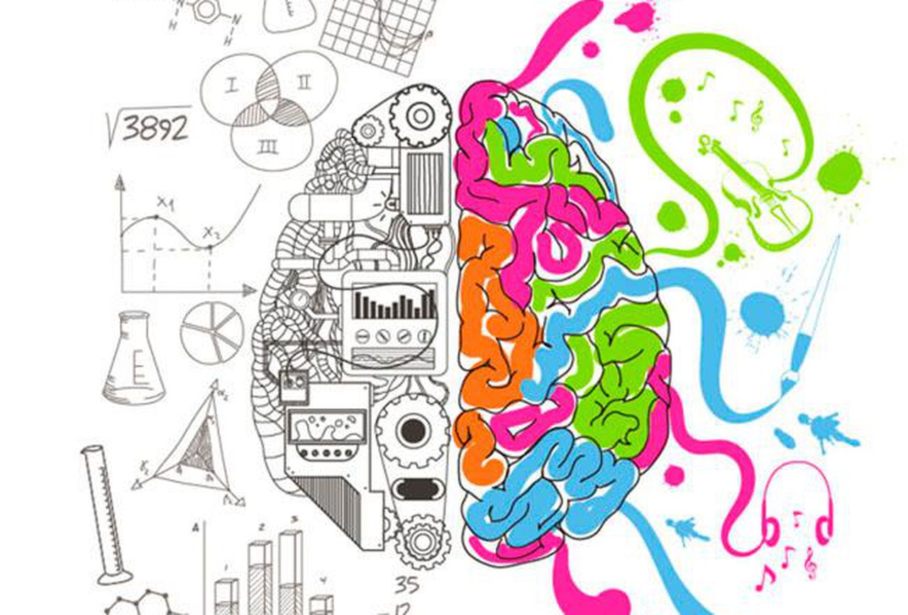 brain